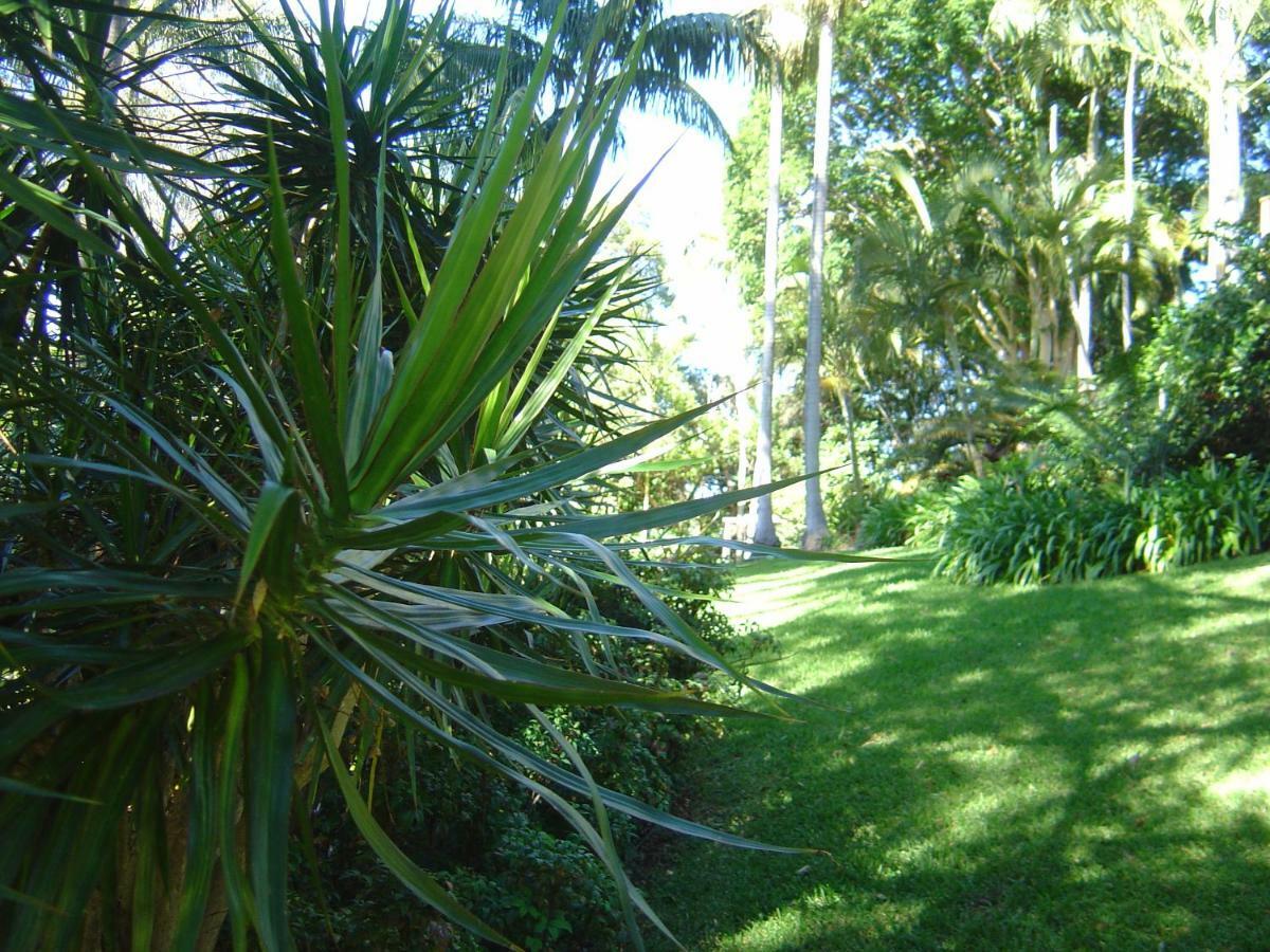 Sensom Boutique Bed And Breakfast Sapphire Beach Extérieur photo